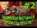 ИНДИЙСКАЯ ВЫСТАВКА В КУРСКЕ  ЧАСТЬ №2 С 11-19.03.2017