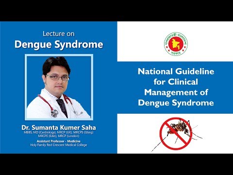Video: Systematické Přezkoumání Ekonomických Dopadů Rychlých Diagnostických Testů Na Dengue