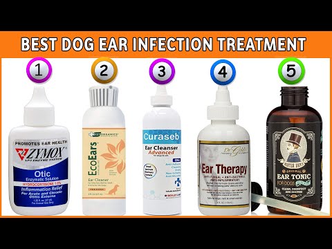 Best Dog Ear Cleaners - Top Dog Ear Infection Treatment Reviews