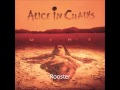 Alice In Chains - Rooster [HQ]