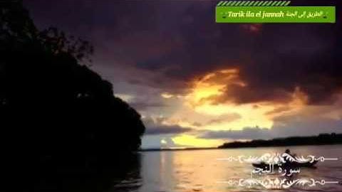 سورة النجم القارئ وديع حمادي اليمني