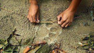 Jejak Kucing Besar di Gunung Kidul hingga Pacitan 90% adalah jejak kaki Macan Kumbang-Tutul