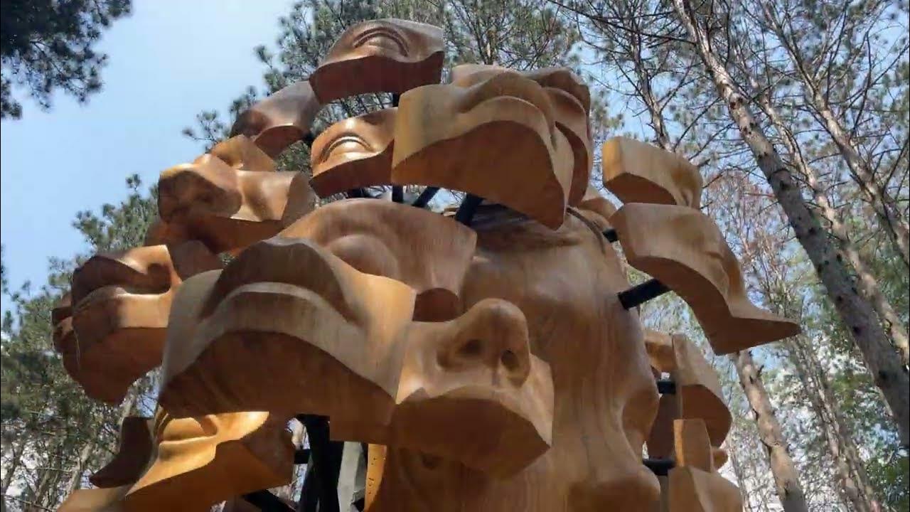 Electric Forest 2023 Recap YouTube