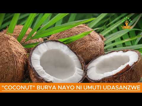 "COCONUT" BURYA NAYO NI UMUTI UDASANZWE UKENEYE KUMENYA