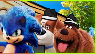 The Secret Life Of Pets And Sonic 2 Coffin Dance Mashup