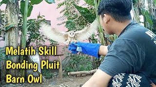 Melatih Skill Burung Hantu dengan Pluit Ultrasonik