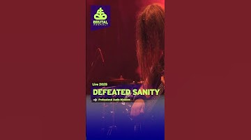 Defeated Sanity - Live from Brutal Assault 2025 #brutalassault #festival