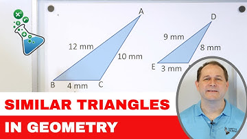 Similar Triangles & Scale Drawings in Geometry - [7-5-1]