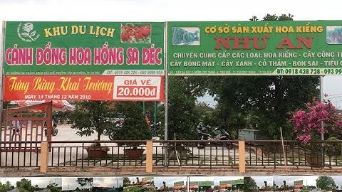 Khu Du Lịch Cánh Đồng Hoa Hồng Sa Đéc | Làng Hoa Sa Đéc Đồng Tháp