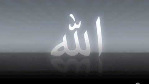 الشيخ مشعل المطر سورة النبأ