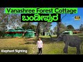 One night stay in bandipura  bandipura forest cottages  vanashree forest stay  stay in bandipura