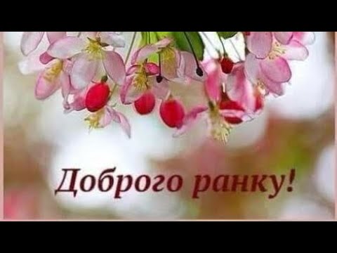 ДОБРОГО РАНКУ// ГАРНОГО ДНЯ//ЧУДОВОГО НАСТРОЮ
