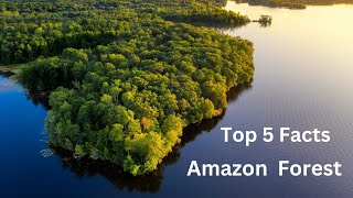 Top 5 Facts About Amazon Rainforest | Wildest Place On Earth | Amazon River | Lungs OF The Earth |