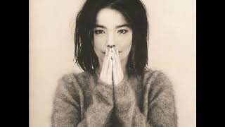 Björk : There&#39;s more to life than this recorded live at the milk bar toilets