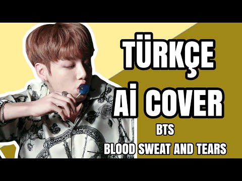 Bangtan BTS Blood Sweat And Tears Türkçe Aİ Cover