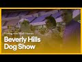 Visiting with Huell Howser - Beverly Hills Dog Show