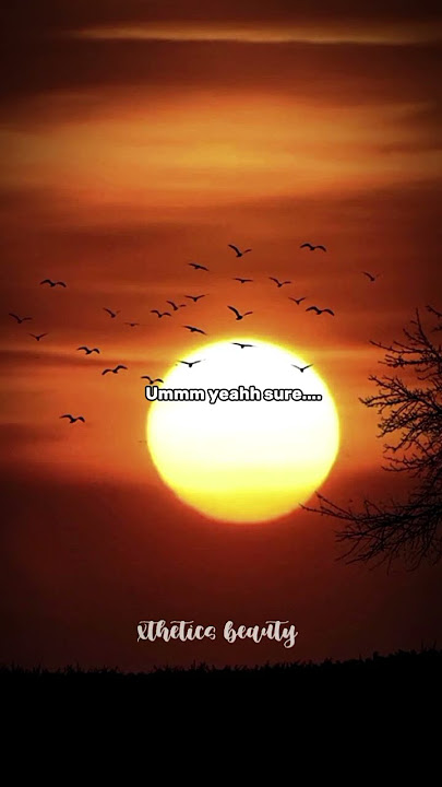 Eclipse ✨ #aesthetic #trending #explore #viralvideo #edit #reels #song #love #relatable #shorts