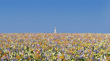 Whyte ?te - You Will Always Be  (Official Music Video)