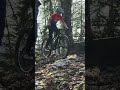 Je fais du TRIAL dans la FORÊT ! 🌲 #mtb #vtt #bike