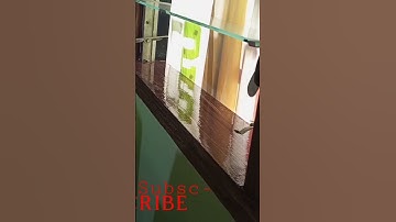 window varnish #shorts