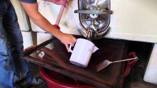 Vino Nobile Di Montepulciano Il Macchione