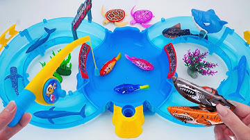 [🐋toy asmr🐋] ZURU Robo Alive Shark Boat & Lighting Fish & RC Whale Toys 🌟 Review Toys