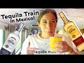Trying The All-You-Can-Drink Tequila Train In Mexico