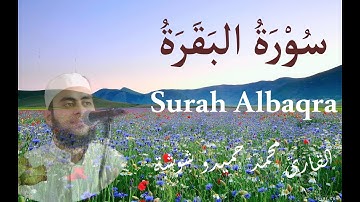 سورة البقرة كاملة || القارئ محمد حميدو شوشة || هدوء لايوصف ♥️