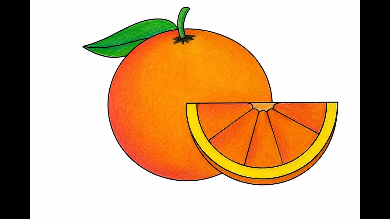 Easy Drawing Orange Drawing || How to Draw Orange Drawing Step by Step ...
