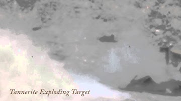 Tannerite Exploding Target Fun