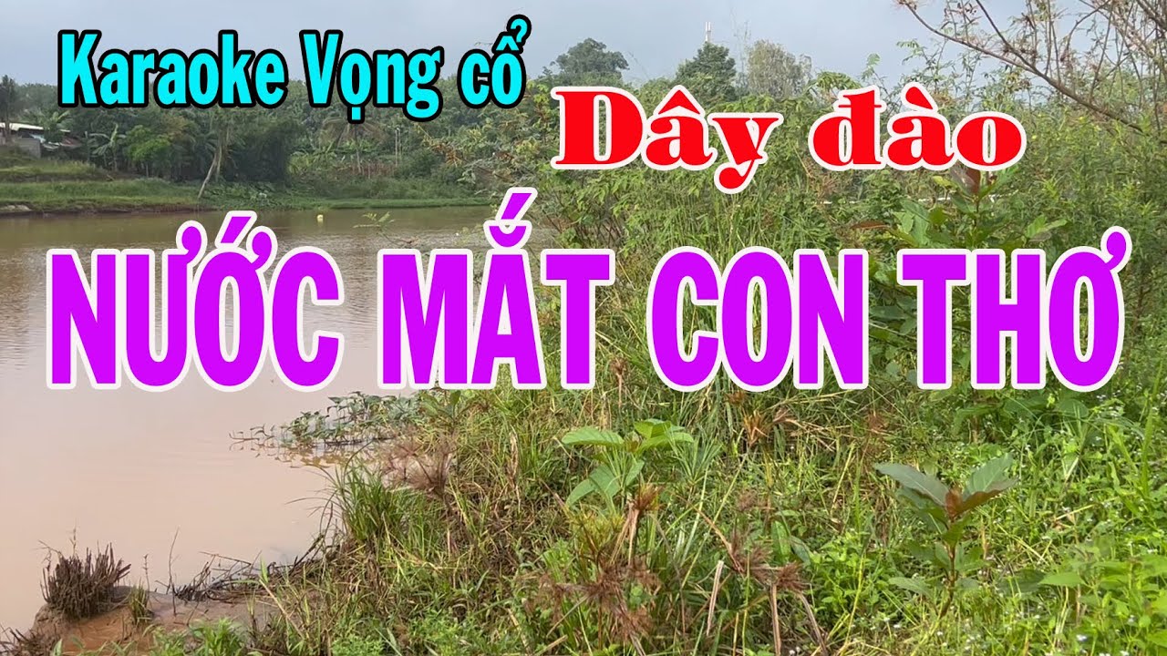 Karaoke vọng cổ NƯỚC MẮT CON THƠ - DÂY ĐÀO [T/g Trần Hiền]