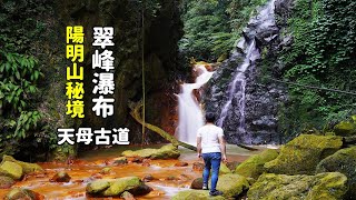 [陽明山秘境翠峰瀑布] 挑戰天母古道探訪隱藏在山中的黃金瀑布，全程陡上的步道來測試你的體力