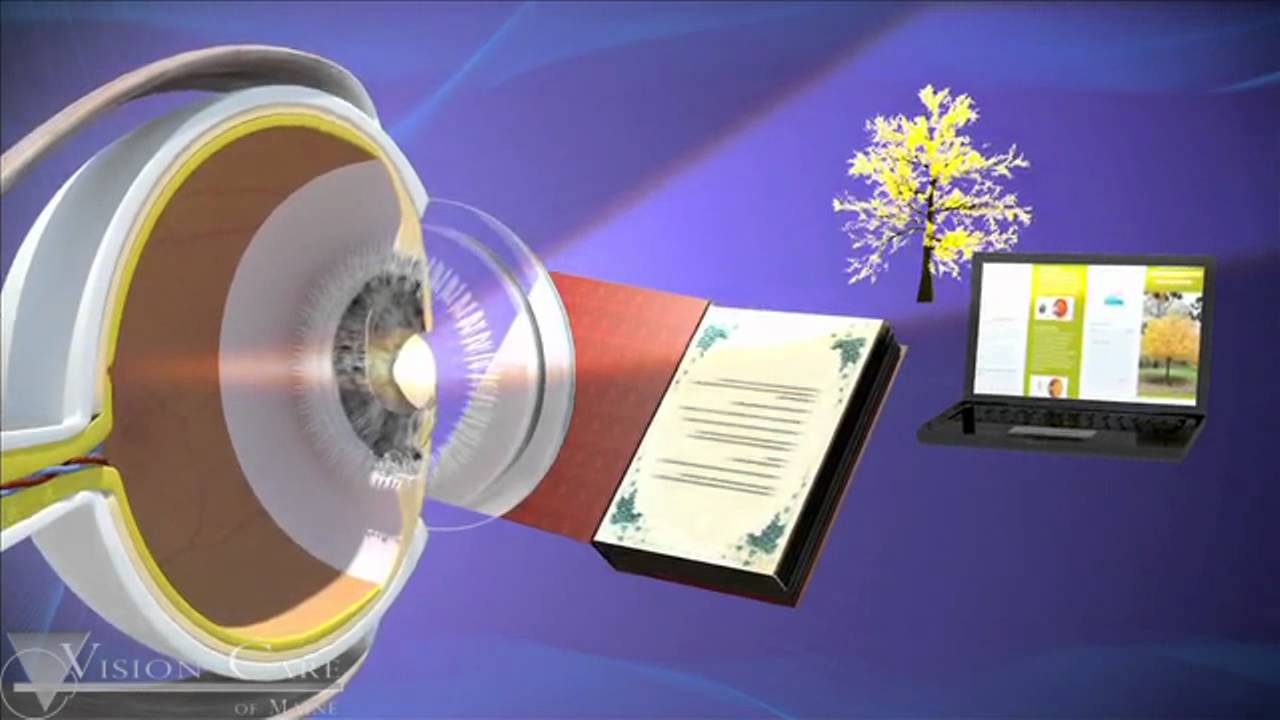 Vision Care of Maine Multi Focal Lenses YouTube