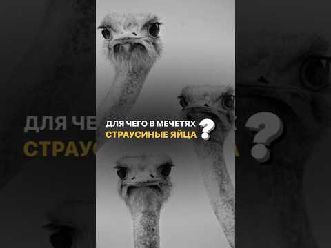 Спорим ты не знал об этом #турция #архитектура #мечеть #секреты #стамбул #строительство #храм
