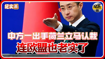 中方一出手，荷兰立马认栽，欧盟也老实了#推薦 #熱門 #經濟 #圆桌派 #纪实 #时间 #历史 #文化 #聊天 #新闻