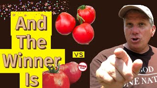 RED SNAPPER TOMATO vs HOSSINATOR -  WHICH IS BEST?   #growingtomatoes  #besttomatoes #hosstools #tp2