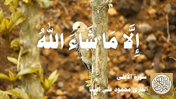 087 محمود علي البنا - سورة الأعلى