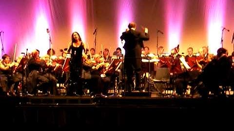 Open Air Opera 3/3 • Pieter Cox and Neder-Silezië Philharmonisch Orkest Pieter Cox