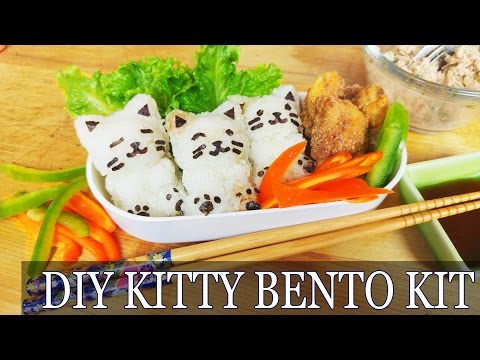 asmr-cooking-diy-cat-bento-kit---how-to-make-cute-japanese-onigiri---easy-karaage-food-recipe