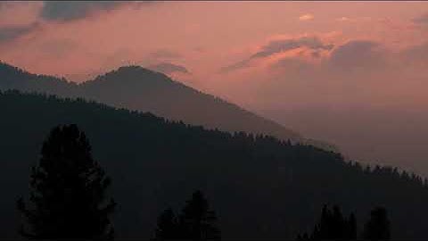 تلاوة شجية كلها جمال ترق لها القلوب