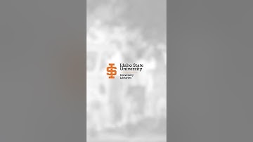 Special Collections and Archives