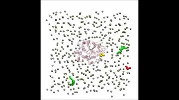 PLoS Computational Biology : Molecular Dynamics Simulations of the Bacterial UraA H+-Uracil...