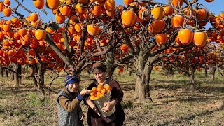 We Collected Persimmons and Hanged them with Rope to Dry | Delicious Village Recipes