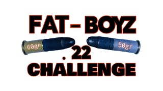 Subsonic 22lr Challenge #águilas #cascade #bulletlover #cci #lr #accuracy #velocity #garmin