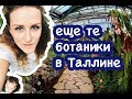 Ботанический сад в Таллине. Живописные окрестности или куда съездить подышать.