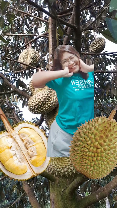 Durian #funny #meme #lucu #funplay #fyp