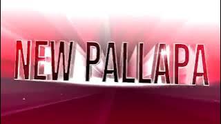 SHALSA CHAN || Pergi hilang dan lupakan || new palapa