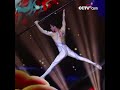 [예능쇼]  서커스 공연 "구름속에서 나는 새" | CCTV 한국어방송