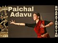 Paichal adavu practice  bharatanatyam  guru shylu winston