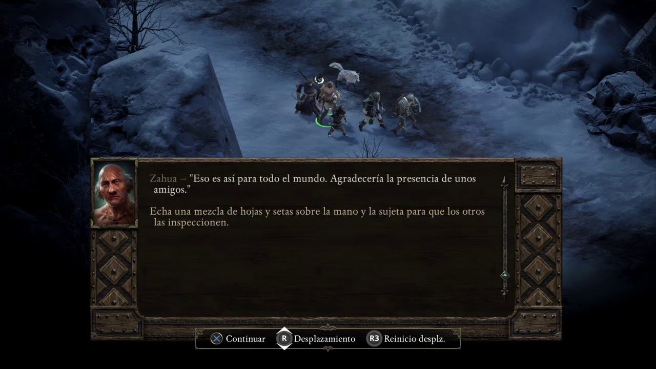 pillars of eternity best companions pillars of eternity best companions